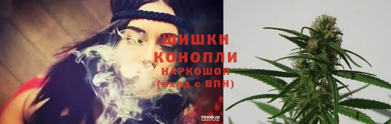 купить   Заволжск  Каннабис Ganja 